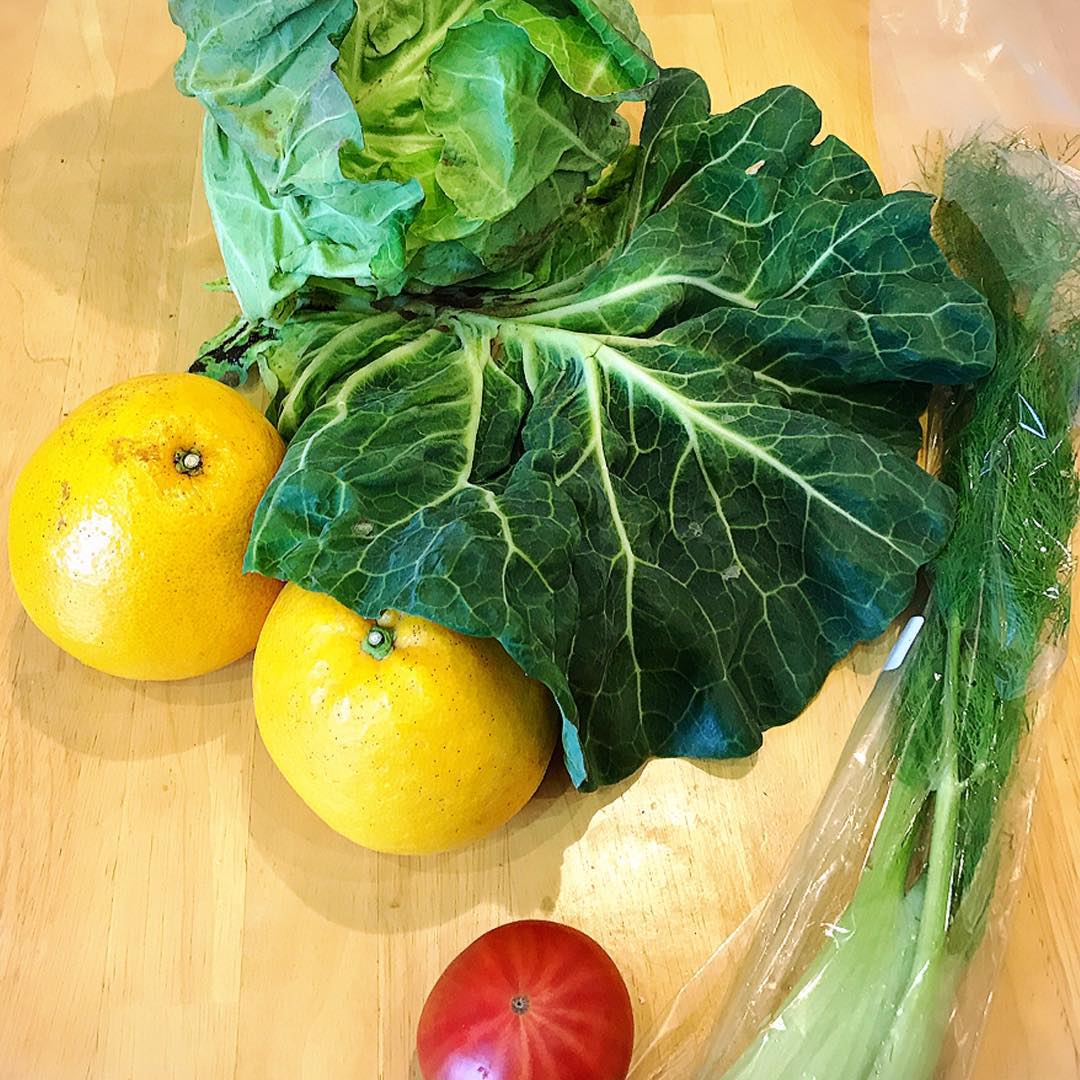 無農薬野菜（2018.04.11）