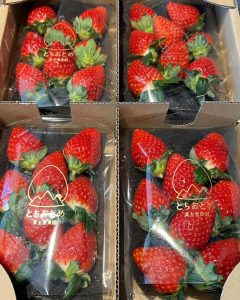 栃木県の美土里農園さん直送の完熟の苺を使用したデニッシュスタートしています（2023.01.12）