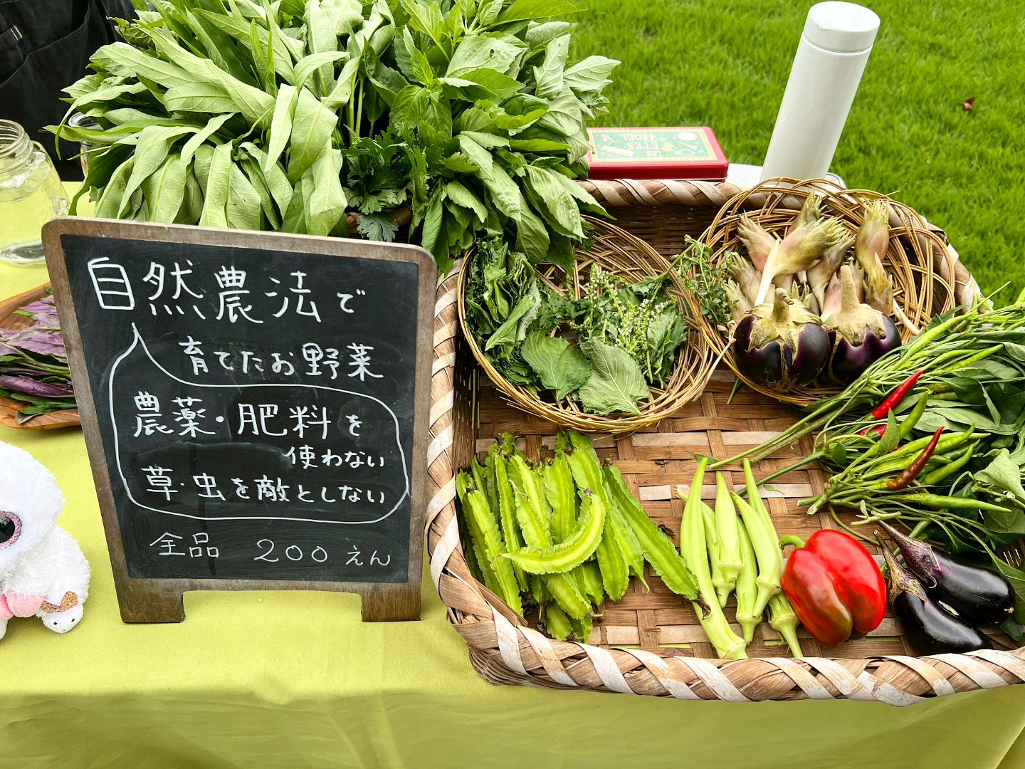 無農薬・無肥料の自然農法で育てた野菜やハーブを気まぐれに販売しています（2023.09.22）