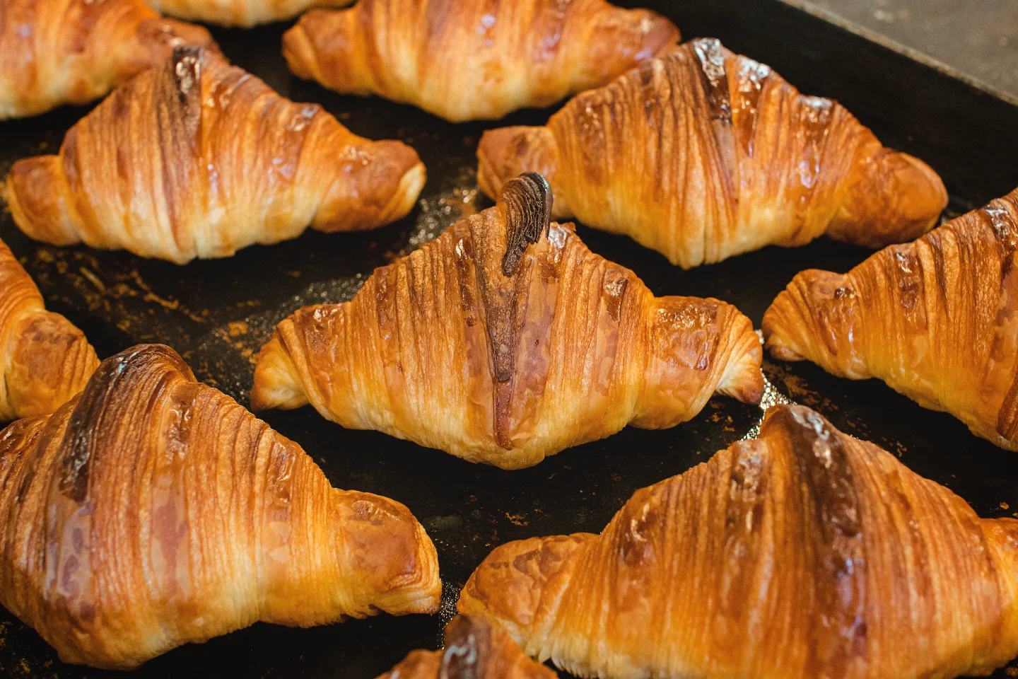 長い夏季休暇が終わり、みなさまとの再会を楽しみにしております（2025.09.02）