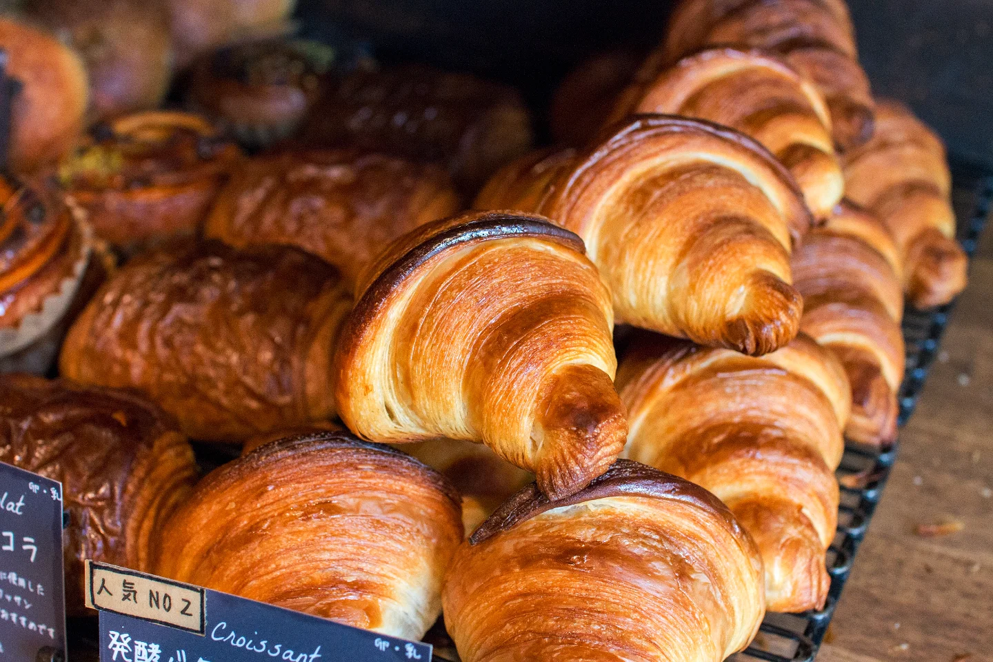 涼しい風が吹いていて、とても気持ちの良い季節になってきました（2025.09.20）